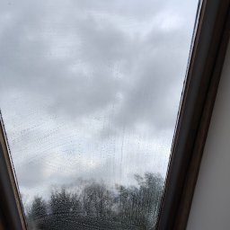 TS Serwis - Okno dachowe w trakcie czyszczenia, widoczne smugi detergentu i odbicie pochmurnego nieba z drzewami. Drewniana rama okienna, biała ściana w tle.