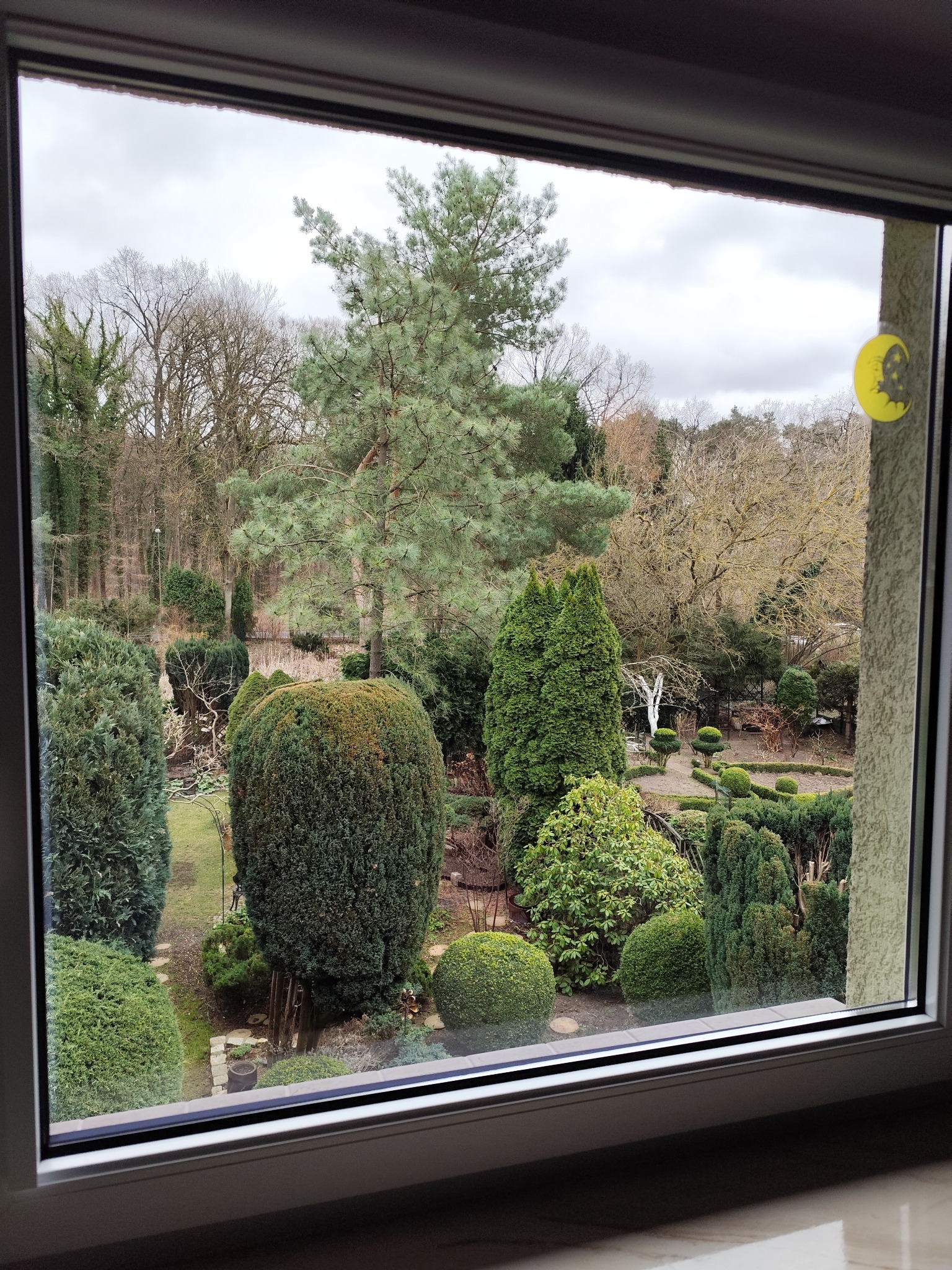 Widok z okna na zadbany ogród z formowanymi krzewami i drzewami w pochmurny dzień. Na szybie naklejka w kształcie księżyca.