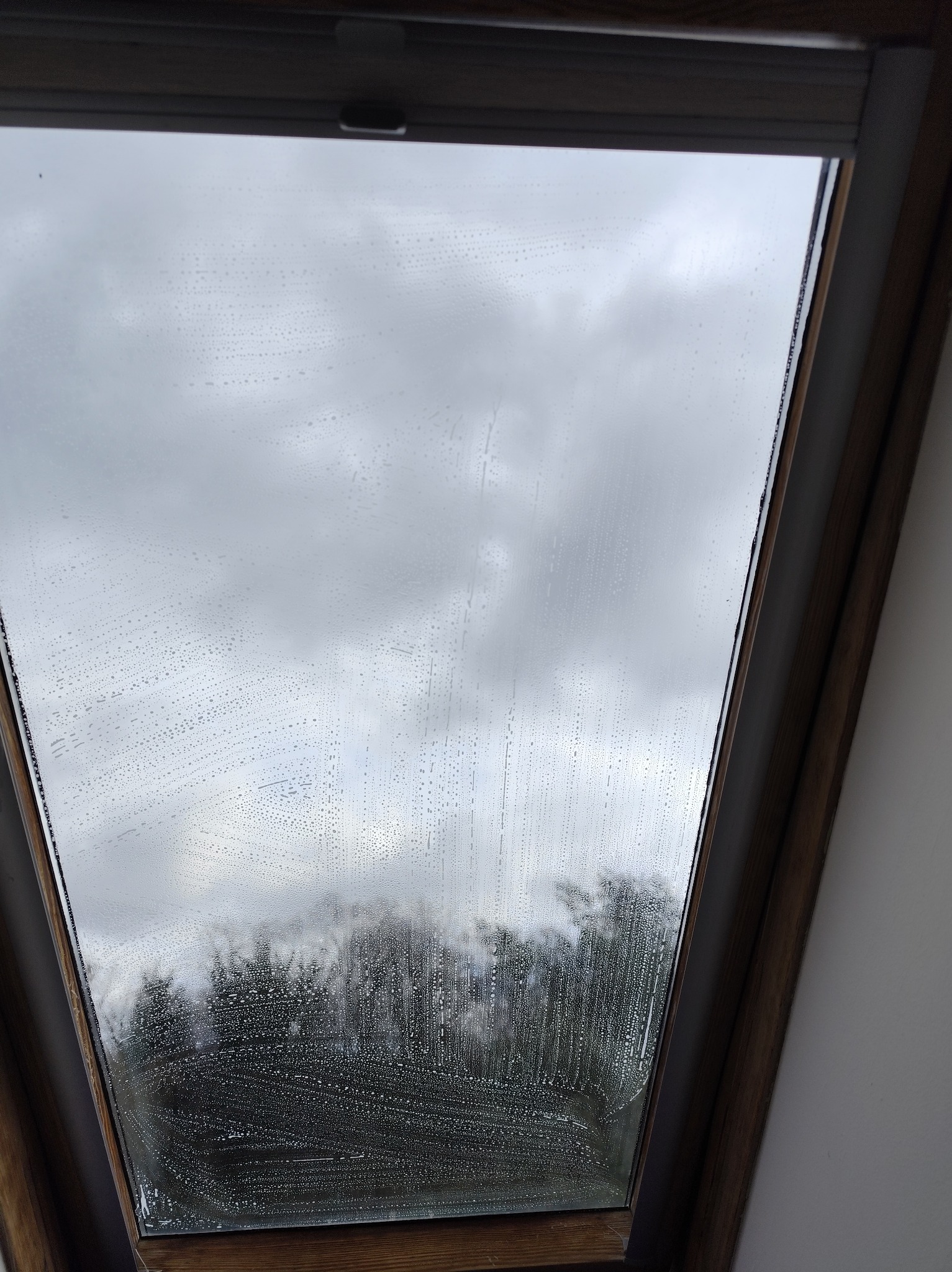 Okno dachowe w trakcie czyszczenia, widoczne smugi detergentu i odbicie pochmurnego nieba z drzewami. Drewniana rama okienna, biała ściana w tle.