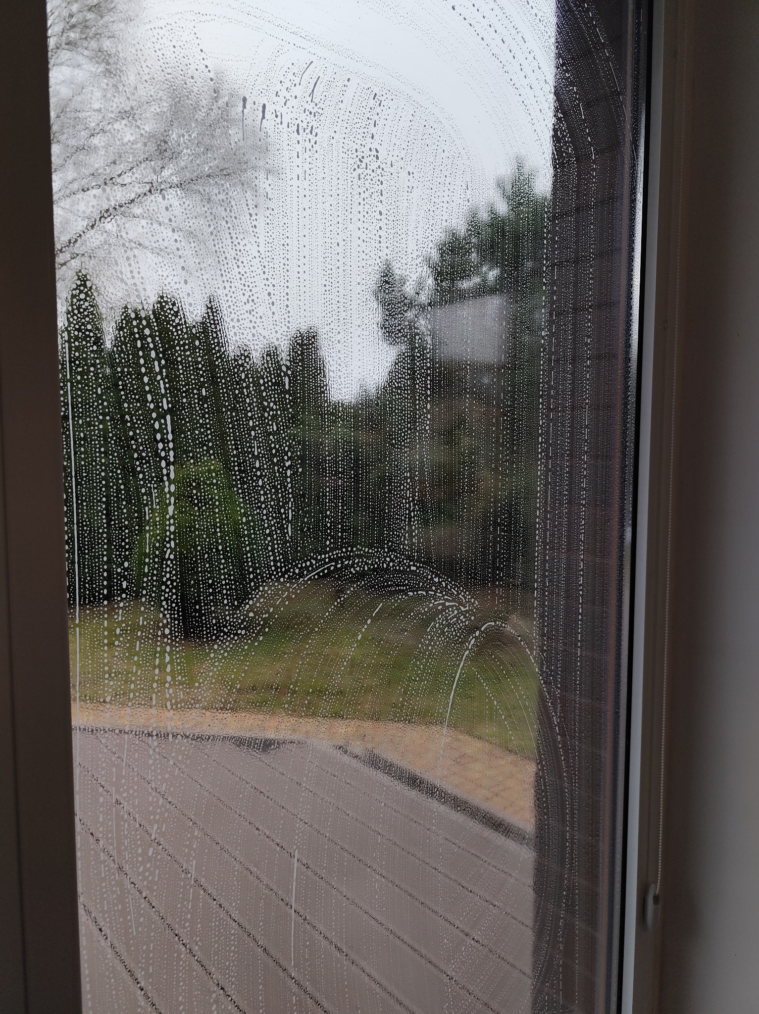 Okno pokryte pianą czyszczącą, widok na zieleń ogrodu i fragment chodnika. Ślady po czyszczeniu okrągłym ruchem. Widoczne krople i smugi.