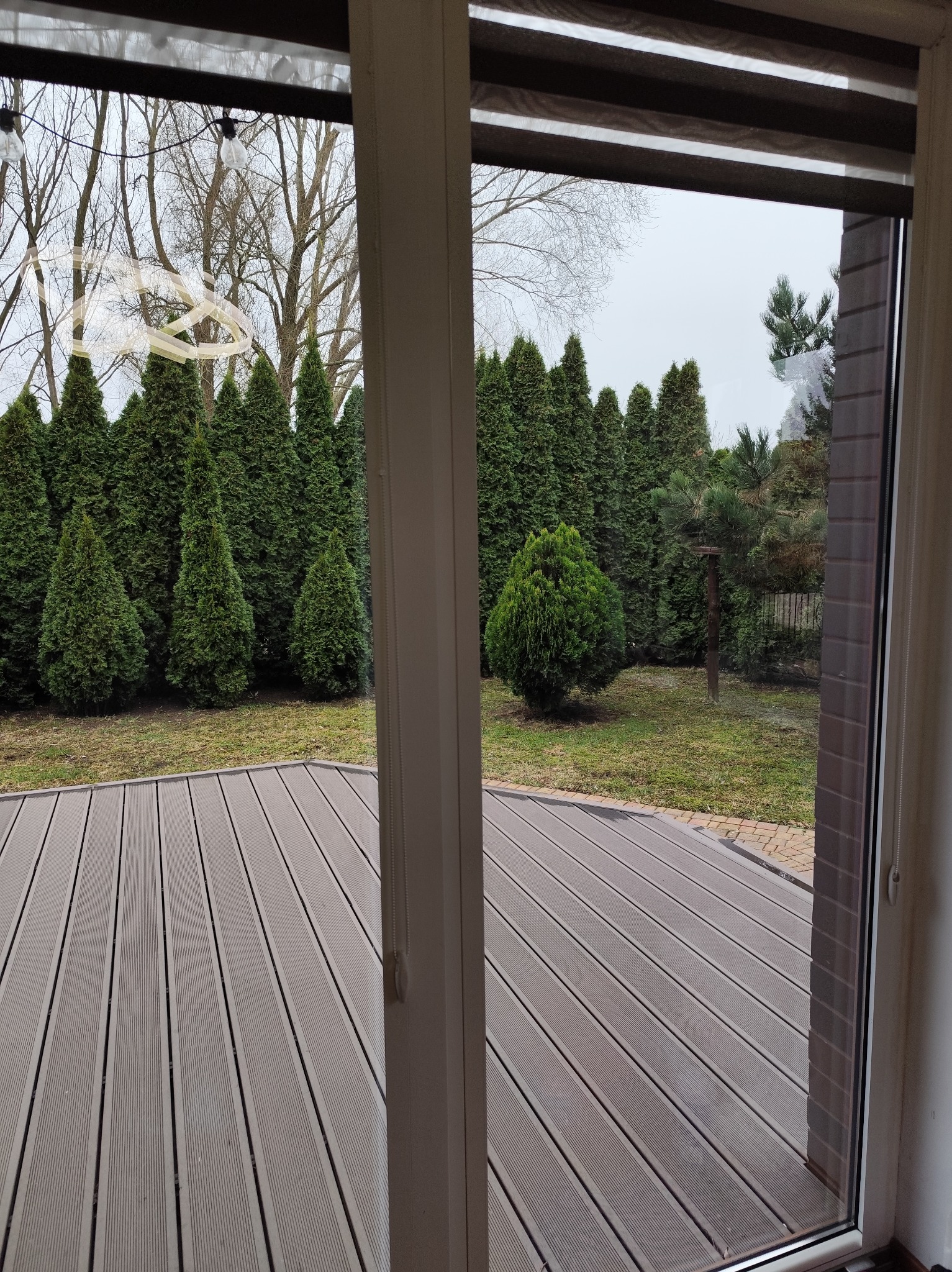 Widok z wnętrza na taras z kompozytowych desek i rząd zielonych tuj. Okno z roletami częściowo zasłonięte. Pochmurny dzień.