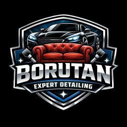 Borutan Expert Detailing - Pranie Kanap Krzanowice