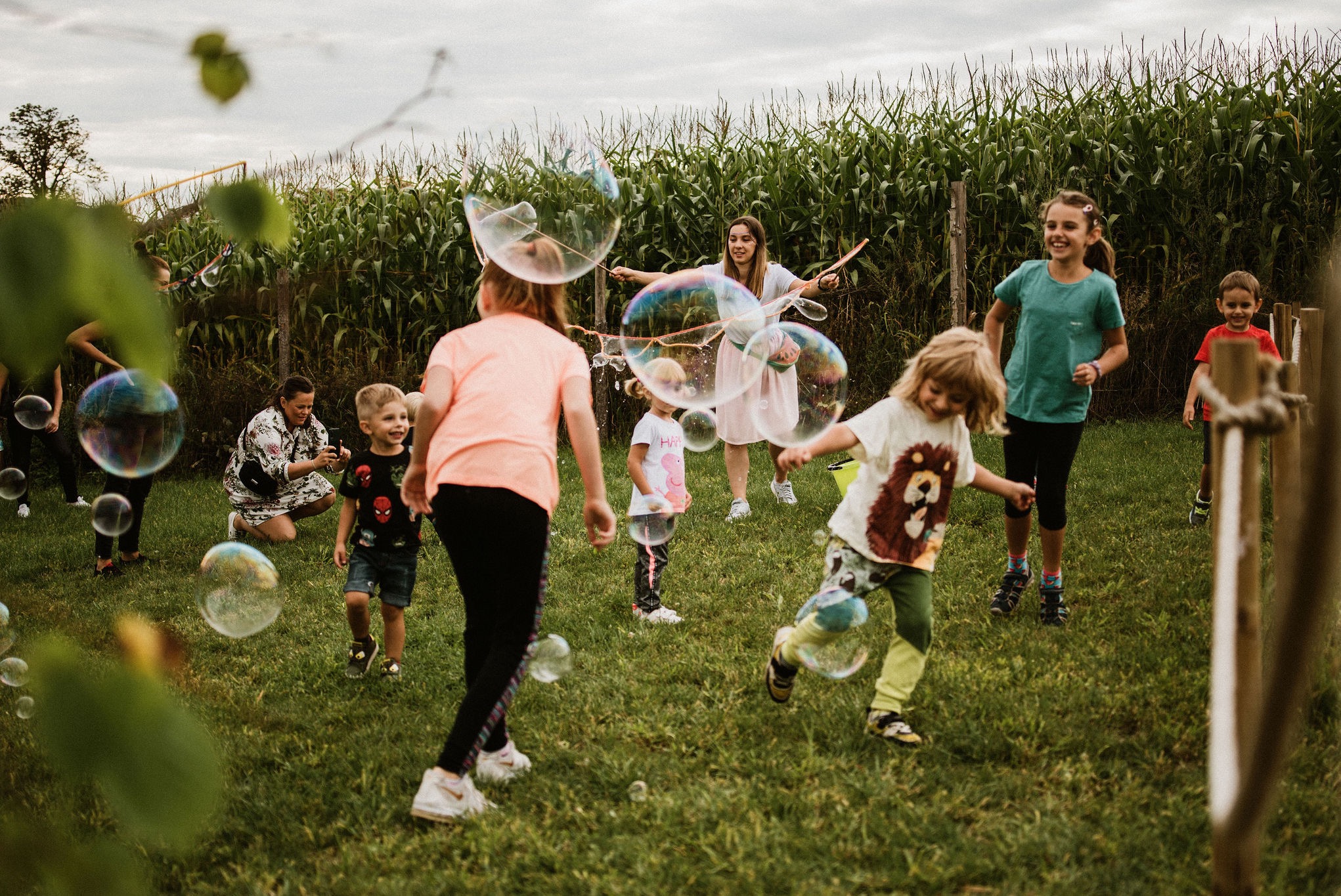 Dzieci bawią się na trawie, puszczając bańki mydlane. W tle kukurydza i osoba robiąca zdjęcia. Radosna atmosfera zabawy na świeżym powietrzu.