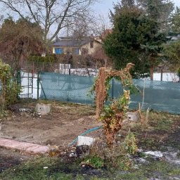 Piotr Dryja - Ogród po wycince drzew i krzewów, widoczne pozostałości pni i gałęzi, częściowo pokryty śniegiem. W tle siatka ogrodzeniowa i zabudowania.