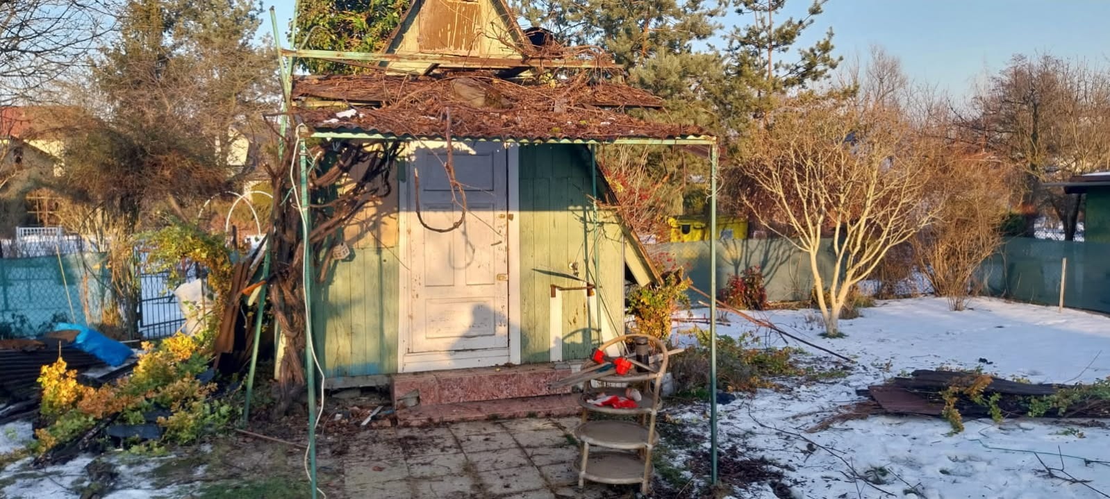 Zrujnowana, drewniana altana z obrośniętymi pnączami, częściowo zasypana śniegiem. Widoczne uszkodzenia dachu i konstrukcji. W tle drzewa i zabudowania.