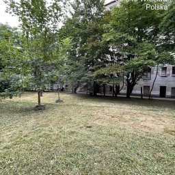TK Polska sp. z o.o. - Nierówno skoszony trawnik z widocznymi ścinkami trawy, otoczony drzewami i kamienicą w tle. Na pierwszym planie dwa młode drzewka z podporami.