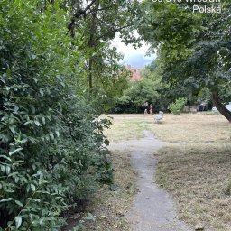 TK Polska sp. z o.o. - Wąska, gruntowa ścieżka prowadząca przez zaniedbany park z suchą trawą i gęstymi krzewami. W oddali dwie osoby idą obok ławki, widoczne drzewa i budynki.