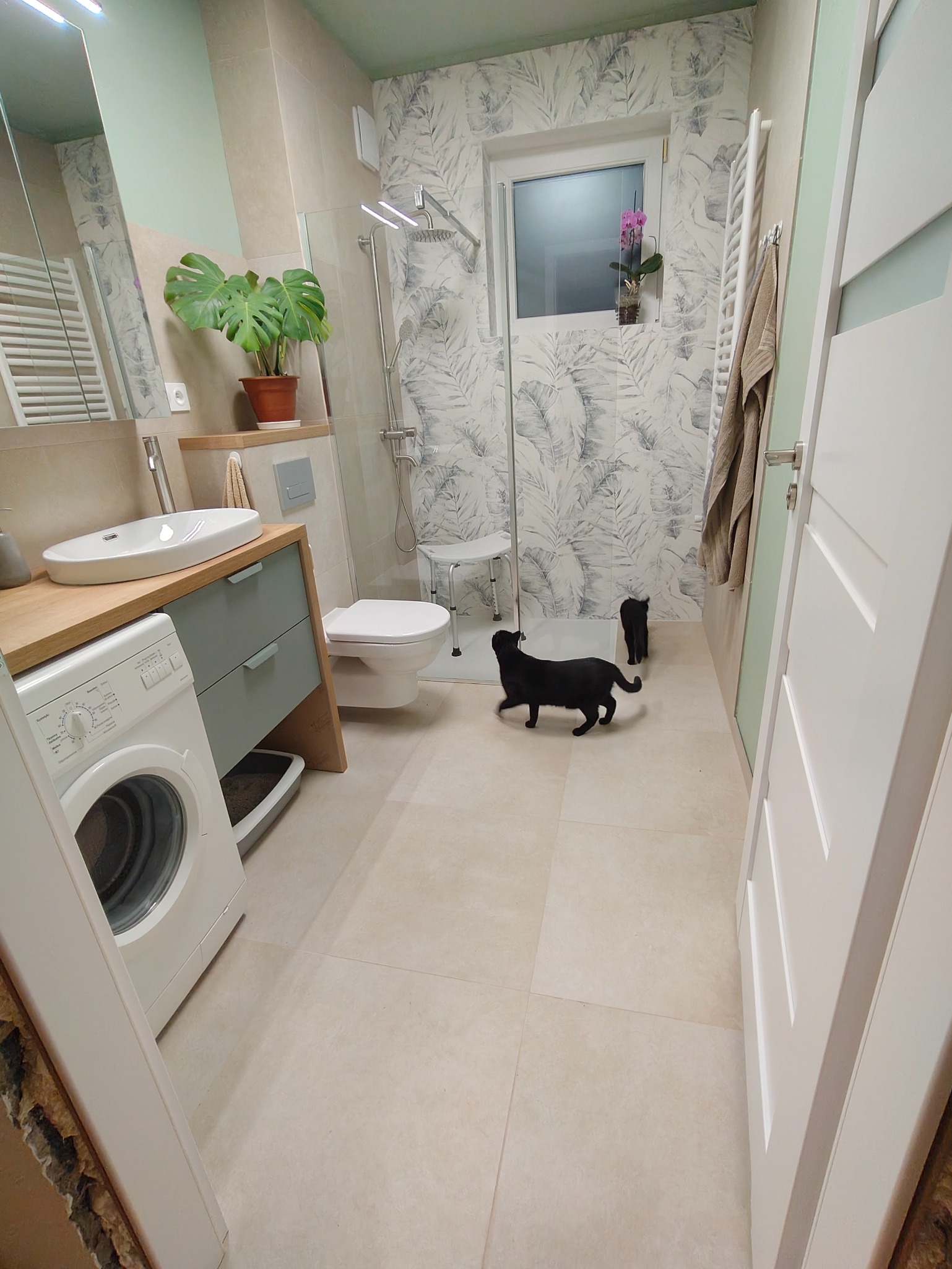 Jasna łazienka po remoncie z kabiną prysznicową, umywalką na szafce, pralką i dwoma czarnymi kotami. Na ścianach tapeta w liście.
