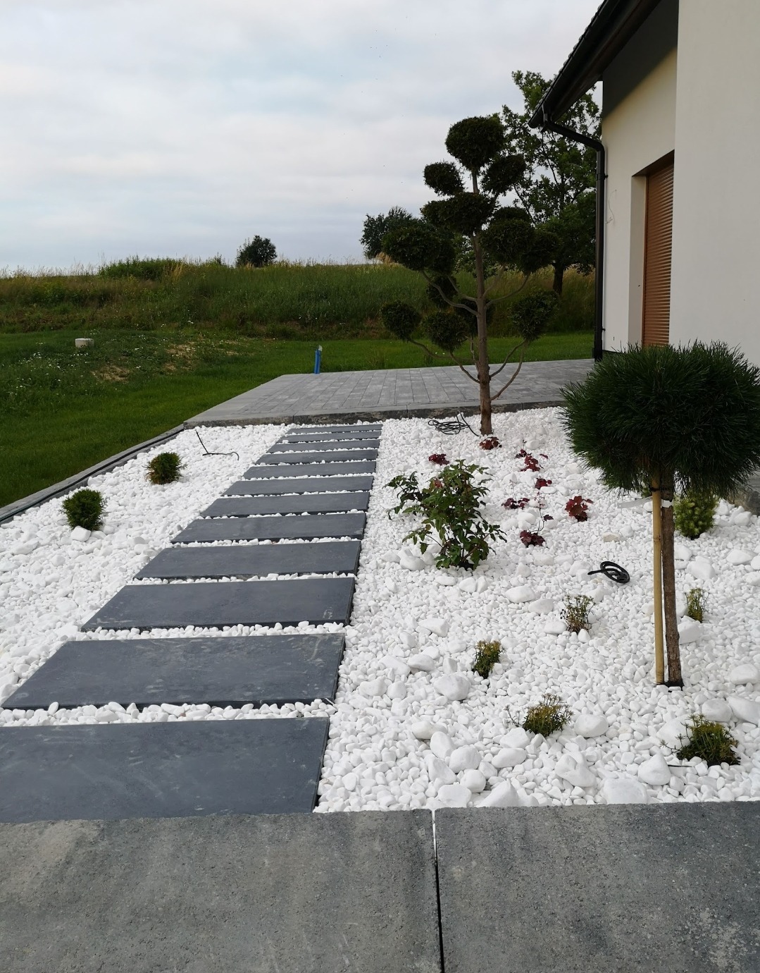 Ścieżka z szarych płyt prowadząca przez białe kamienie w ogrodzie, z ozdobnymi drzewkami i krzewami. Widok na dom z jasną elewacją i zielone wzgórze w tle.