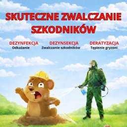 DDD FORTE Tomasz Wesołowski - Sucha Zabudowa Głog&oacute;w