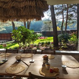 Zakładanie ogrodów Września 1