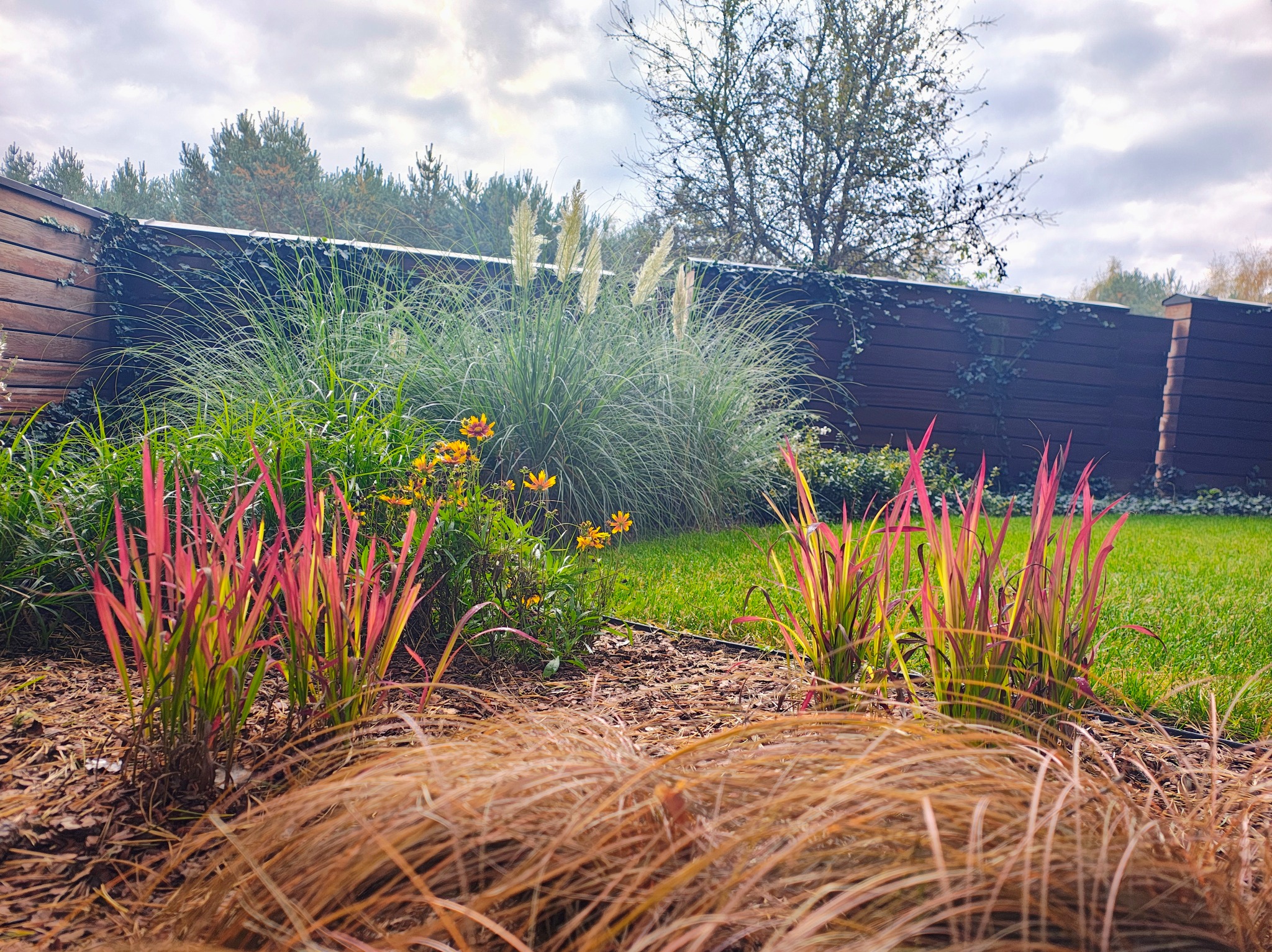 Ogród z ozdobnymi trawami w odcieniach zieleni, różu i żółci, z kwitnącymi rudbekiami i wysokimi trawami pampasowymi na tle drewnianego ogrodzenia.