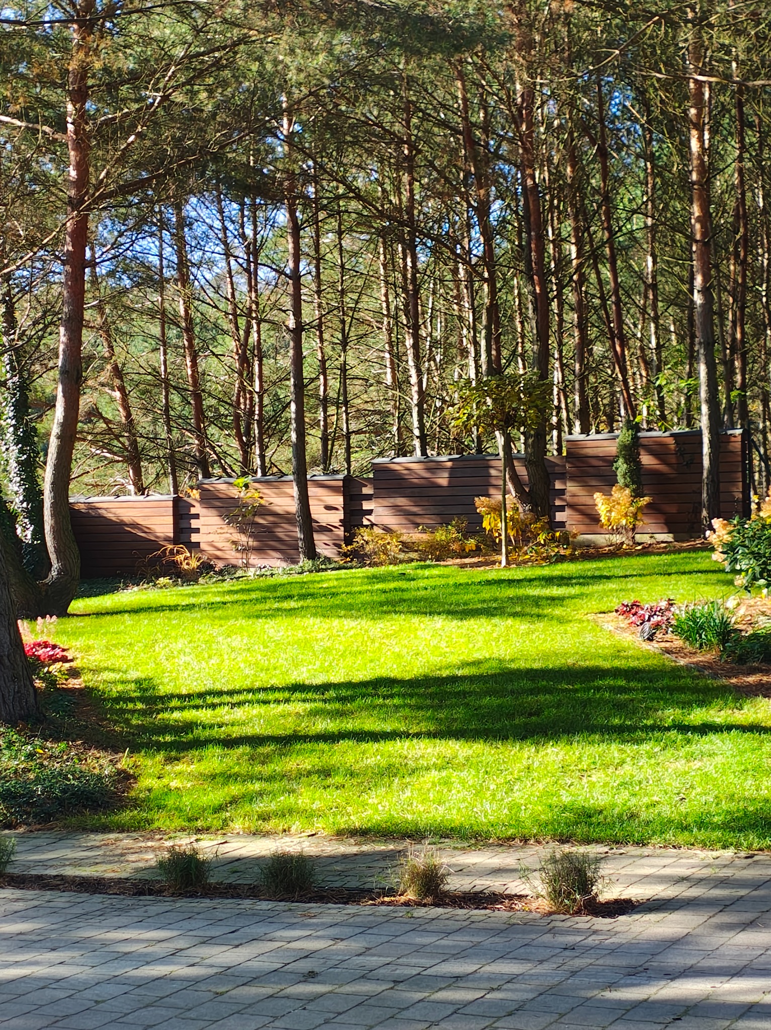 Zadbany trawnik z równo przystrzyżoną trawą, otoczony drzewami i drewnianym ogrodzeniem. Widoczne nasadzenia kwiatowe i kostka brukowa. Słoneczny dzień.