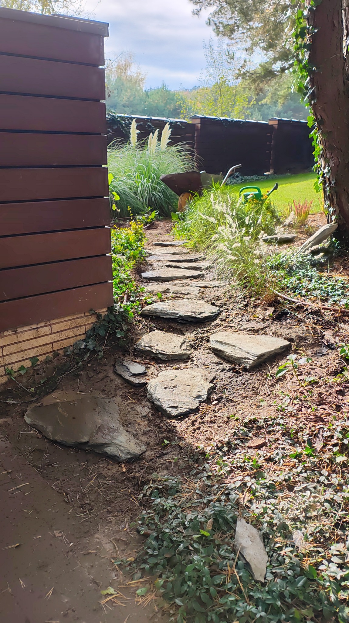 Ścieżka z nieregularnych kamieni prowadząca przez ogród z trawami ozdobnymi, widoczna taczka i konewka. Brązowe ogrodzenie w tle, częściowo porośnięte bluszczem.