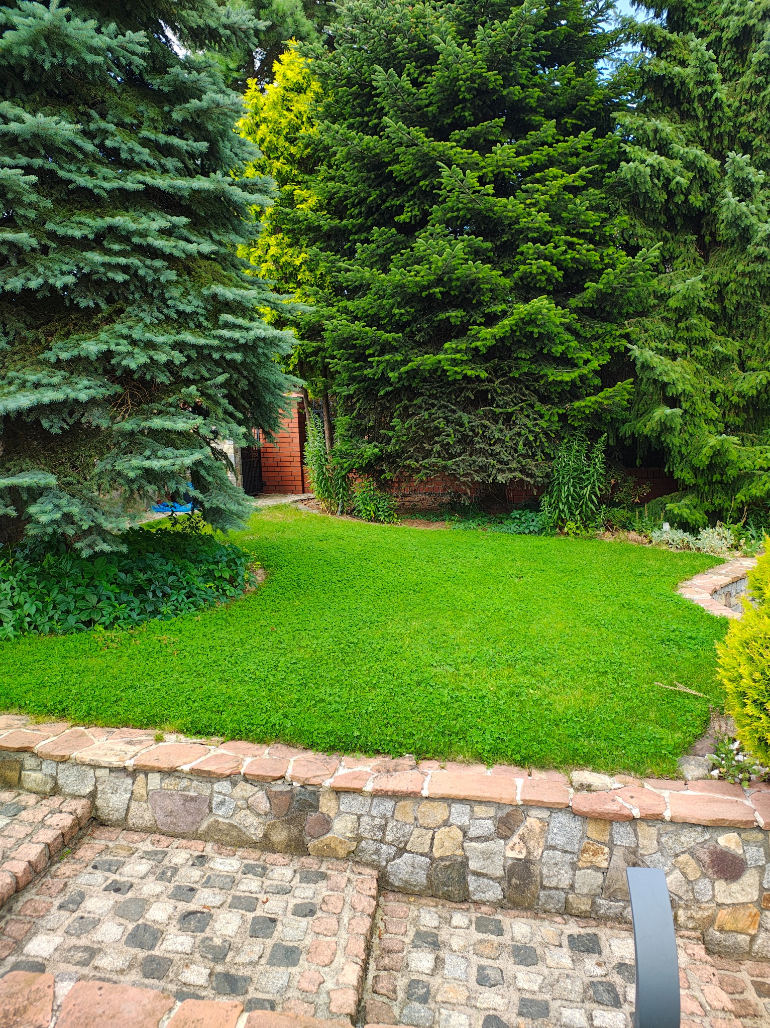 Zadbany trawnik z niską trawą, otoczony różnorodnymi drzewami iglastymi i kamiennym murkiem. W tle widoczny budynek z czerwonej cegły.