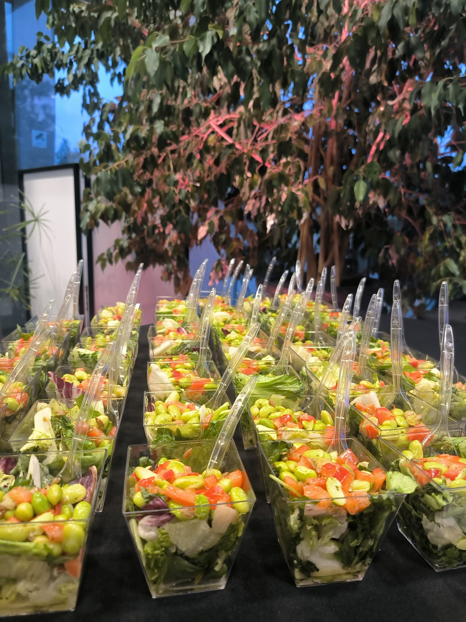 Sałatka Edamame w Monoporcjach