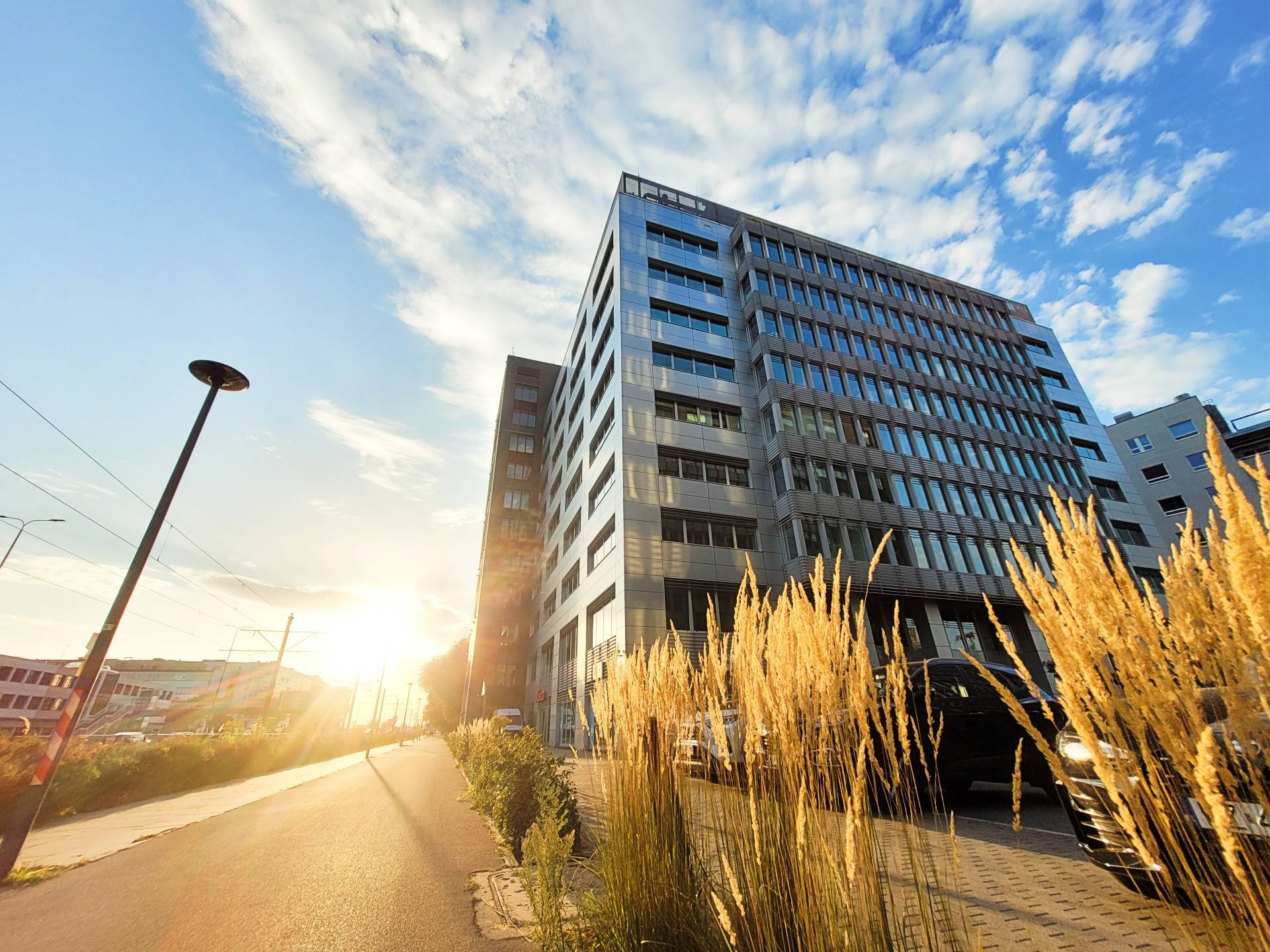 Nowoczesny biurowiec z metalową fasadą, widoczny z poziomu ulicy w słoneczny dzień. Złote trawy na pierwszym planie dodają ciepła miejskiemu krajobrazowi.