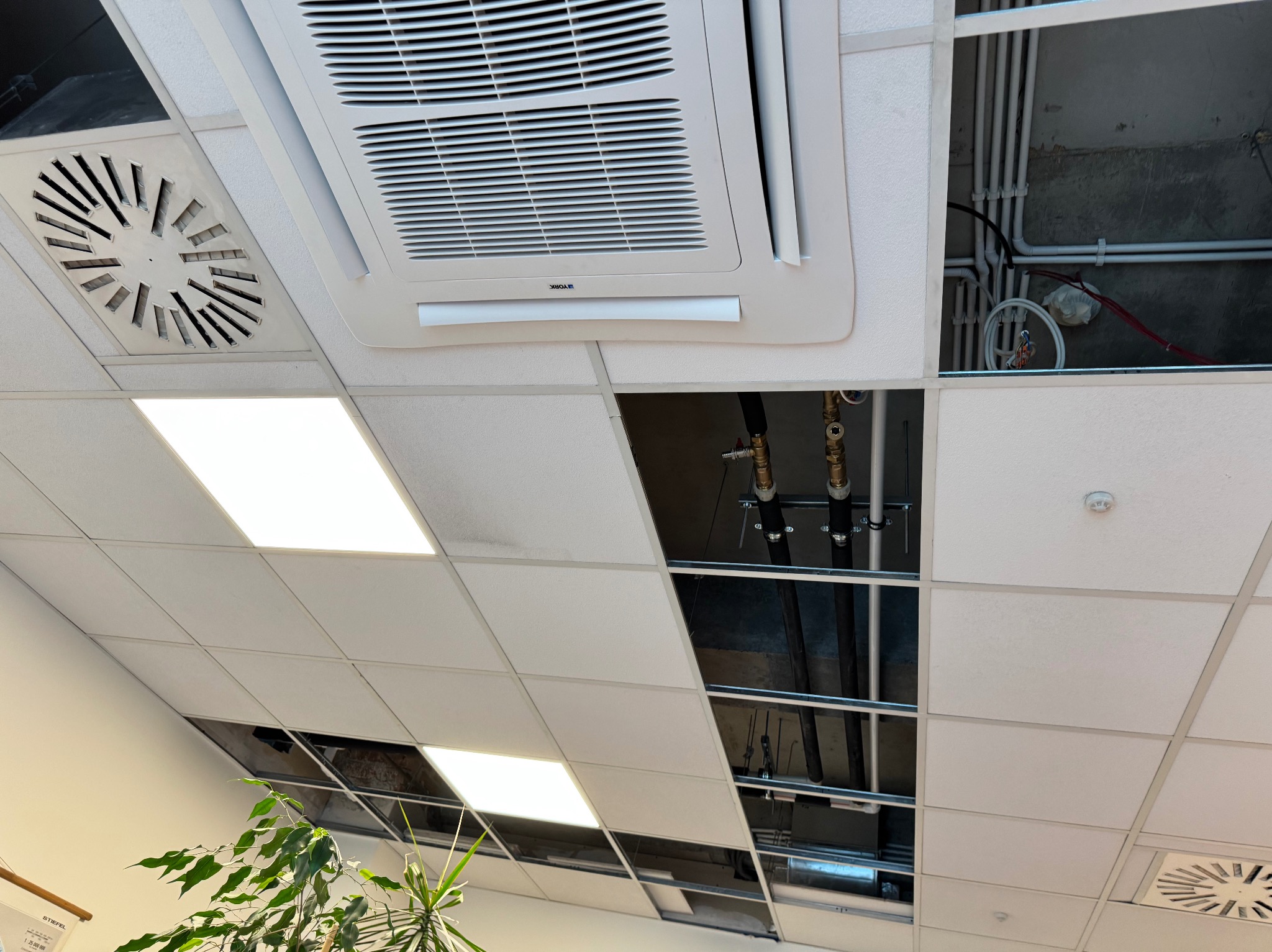 Sufit podwieszany z widocznymi instalacjami: klimatyzacja, wentylacja i rury. Fragment rośliny w rogu kadru. Widok z dołu, oświetlenie jarzeniowe.