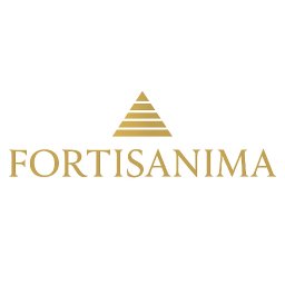 FORTISANIMA MARCIN ANTCZAK - Podłączenie Płyty Indukcyjnej Poznań