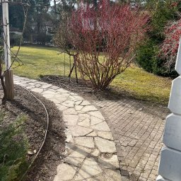 Sebastian Łachowski - Kamienny chodnik wijący się przez ogród, z czerwoną krzewinką po prawej i zielonym trawnikiem w tle. Część chodnika wyłożona kostką brukową.