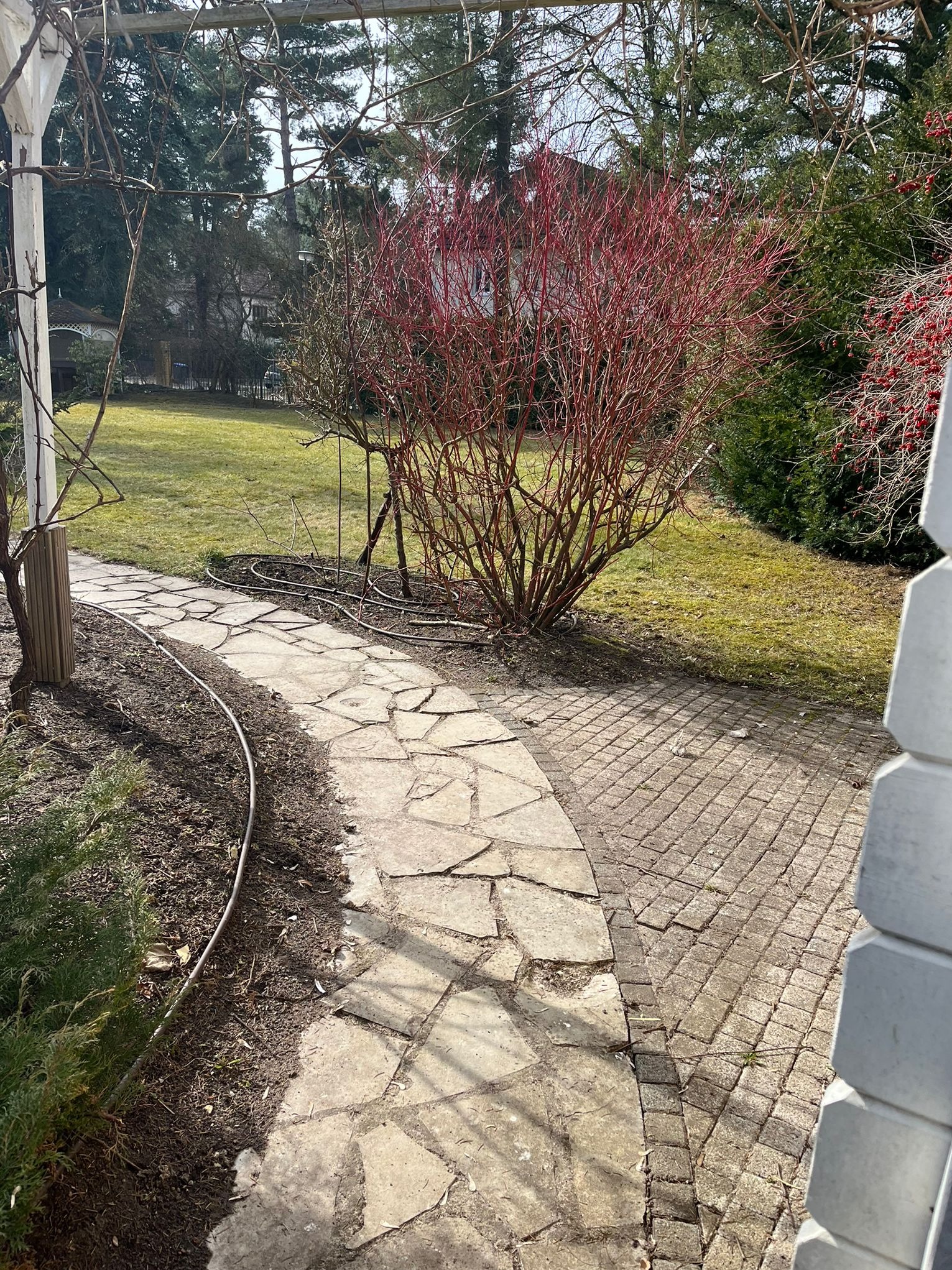 Kamienny chodnik wijący się przez ogród, z czerwoną krzewinką po prawej i zielonym trawnikiem w tle. Część chodnika wyłożona kostką brukową.