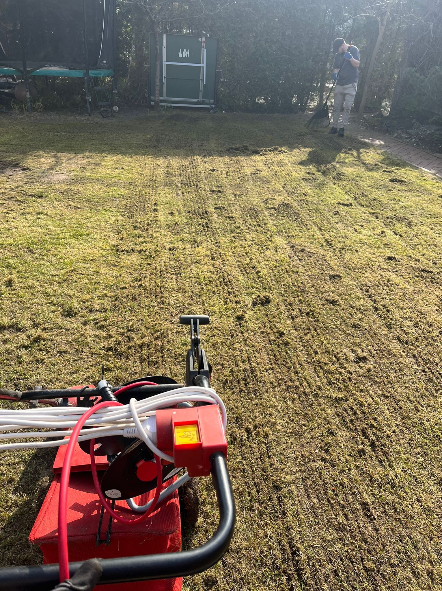 Wertykulacja trawnika z użyciem wertykulatora elektrycznego. Widoczny pracownik z grabiami i zielona toaleta przenośna w tle. Trawa po zabiegu.