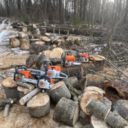 GIFTED Ewa Dmochowska - Stosy pociętych pni drzew w lesie, z czterema pilarkami Stihl na pierwszym planie. Ślady śniegu na ziemi, w tle wysokie drzewa bez liści.