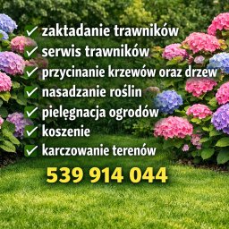 Szczepan Strojny - Trawa Rolowana Gd&oacute;w