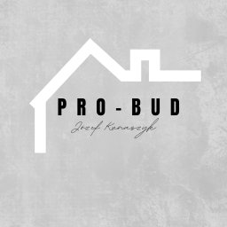 PRO-BUD J&Oacute;ZEF KUNASZYK - Remonty Dom&oacute;w Drewnianych Szczecin