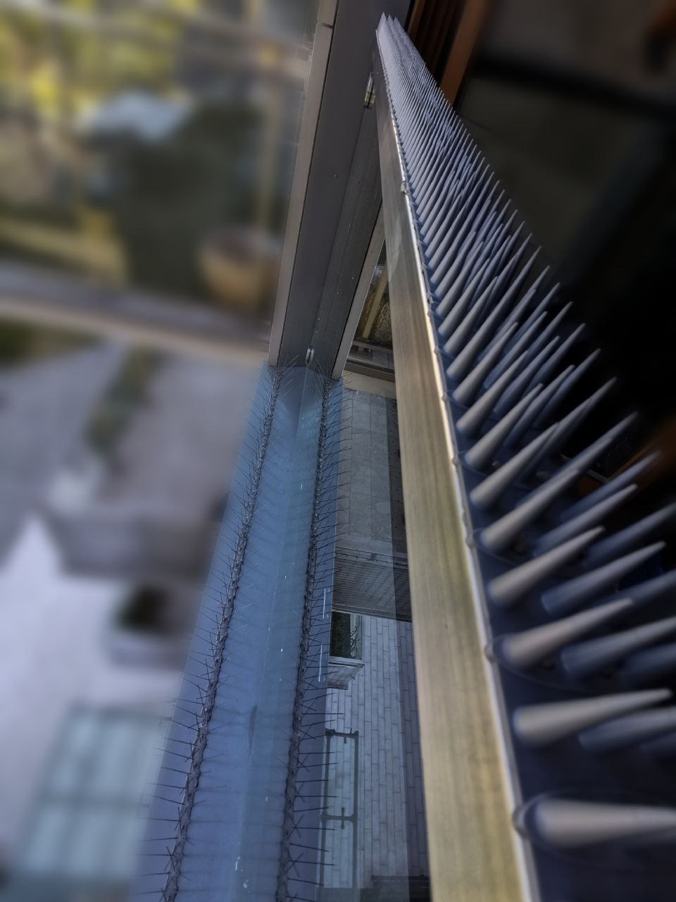 Zamontowane kolce przeciw ptakom na parapecie okna, widok z góry. Ochrona przed ptactwem na elewacji budynku. Detal zabezpieczenia.