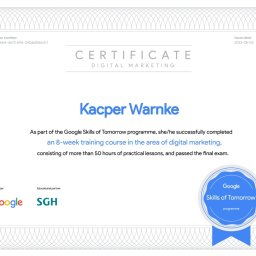 Tworzenie stron internetowych Gdynia 1