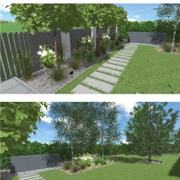 Przycinanie drzew Pabianice 3