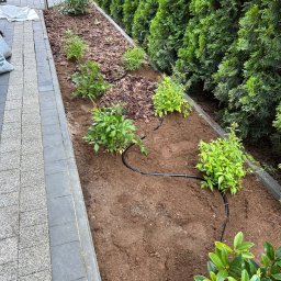 Vitalii Shevchenko - Rabata z nowo posadzonymi roślinami i systemem nawadniania, widok z góry. Kora rozsypana między roślinami. W tle rząd tuj.