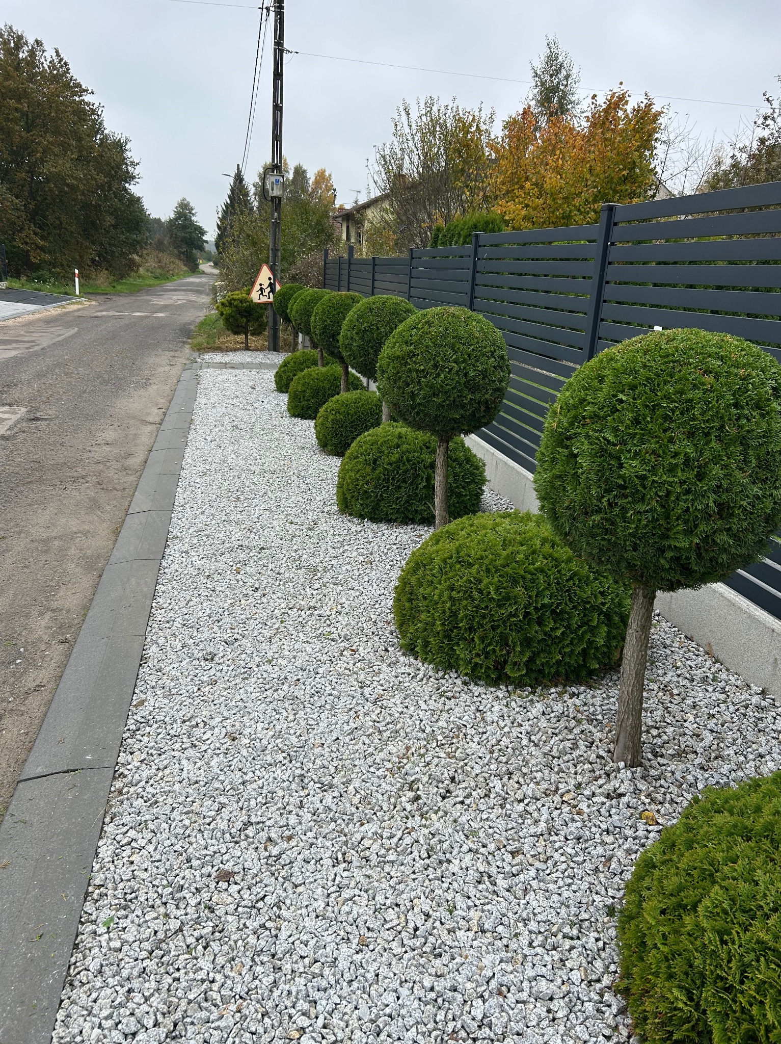 Rząd kulistych krzewów i drzewek na białym żwirze wzdłuż szarego ogrodzenia panelowego. W tle ulica i znak drogowy.