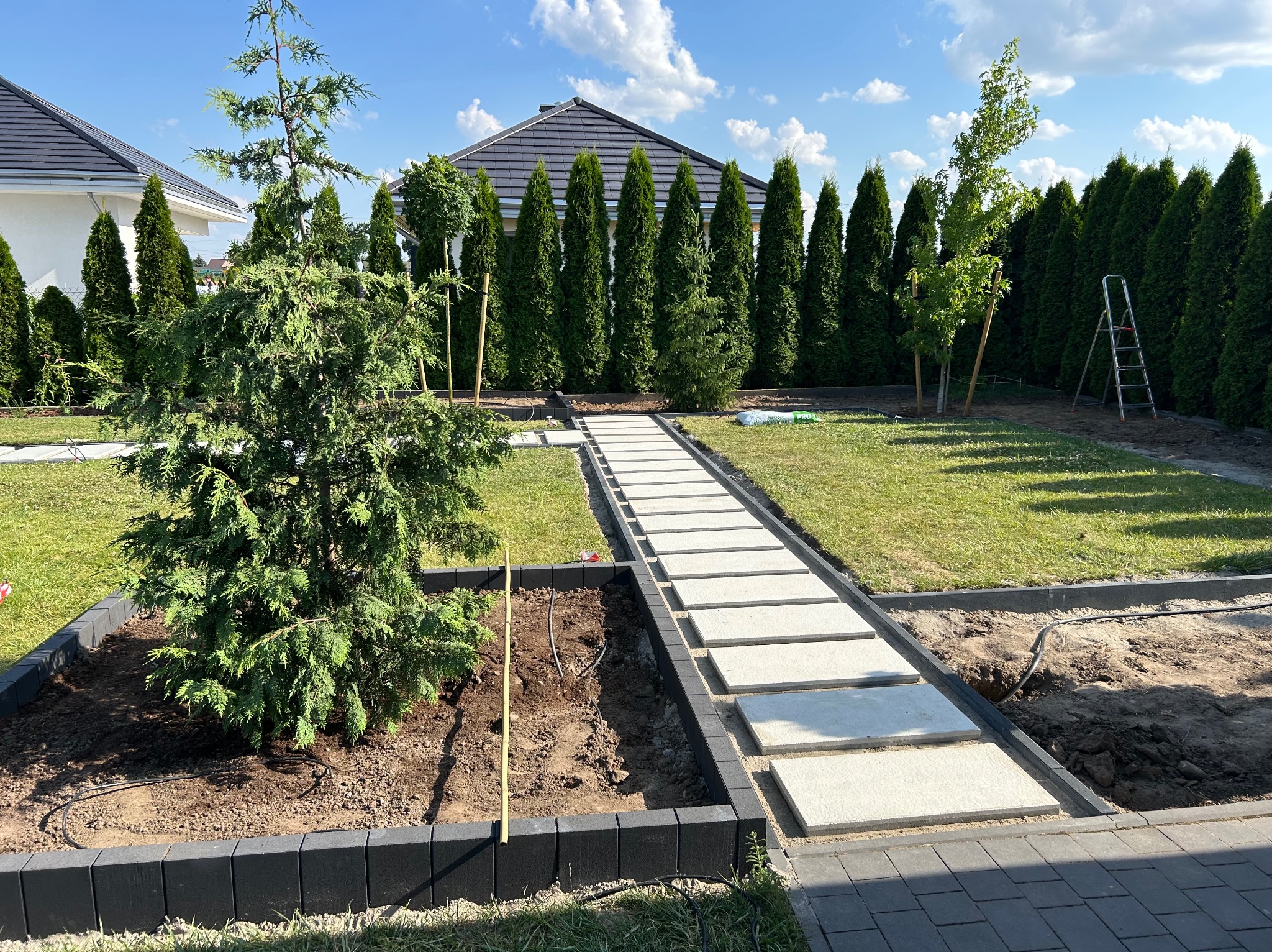 Nowoczesny ogród z ścieżką z płyt, świeżo posadzone drzewa iglaste i liściaste, czarne obrzeża rabat, trawnik i drabina oparta o tuje w tle.