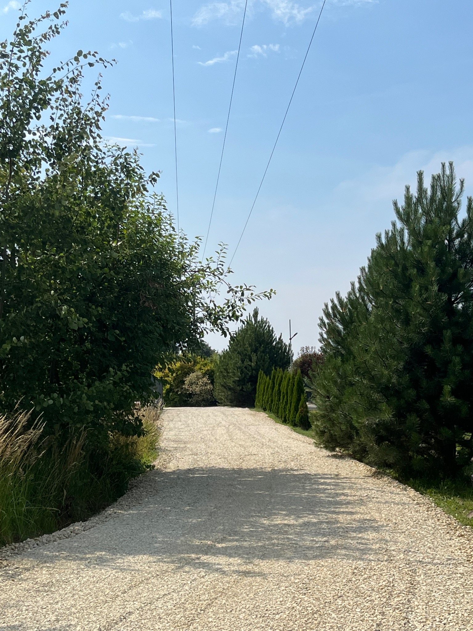 Żwirowa droga dojazdowa w Zabrzu, otoczona zielenią drzew i krzewów. Widok w perspektywie, z liniami energetycznymi nad drogą.