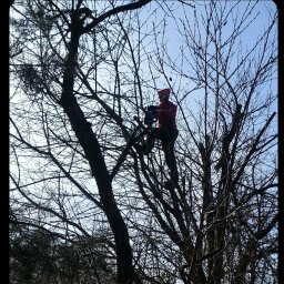 Renata Morawek - Nawożenie Roślin Katowice