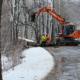 HANDEL - USŁUGI GRAŻYNA KOCHAN - Pomarańczowa koparka Doosan usuwa powalone drzewo z drogi w zimowej scenerii. Pracownicy w odblaskowych ubraniach nadzorują prace.