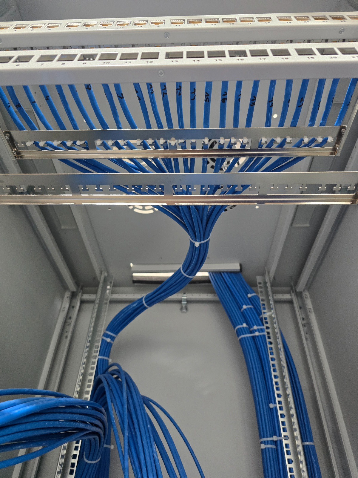Panel krosowniczy z uporządkowanymi niebieskimi kablami sieciowymi, oznaczonymi numerami. Widok z góry na wnętrze szafy rack z zamontowanym okablowaniem.