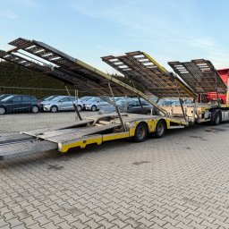 Transport samochodów z zagranicy Dawidy 4