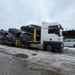 Transport samochodów z zagranicy Dawidy 3