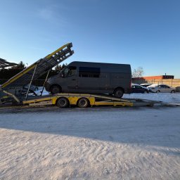 Transport samochodów z zagranicy Dawidy 2