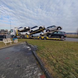 Transport samochodów z zagranicy Dawidy 1