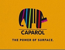 Tynki, grunty podkładowe.