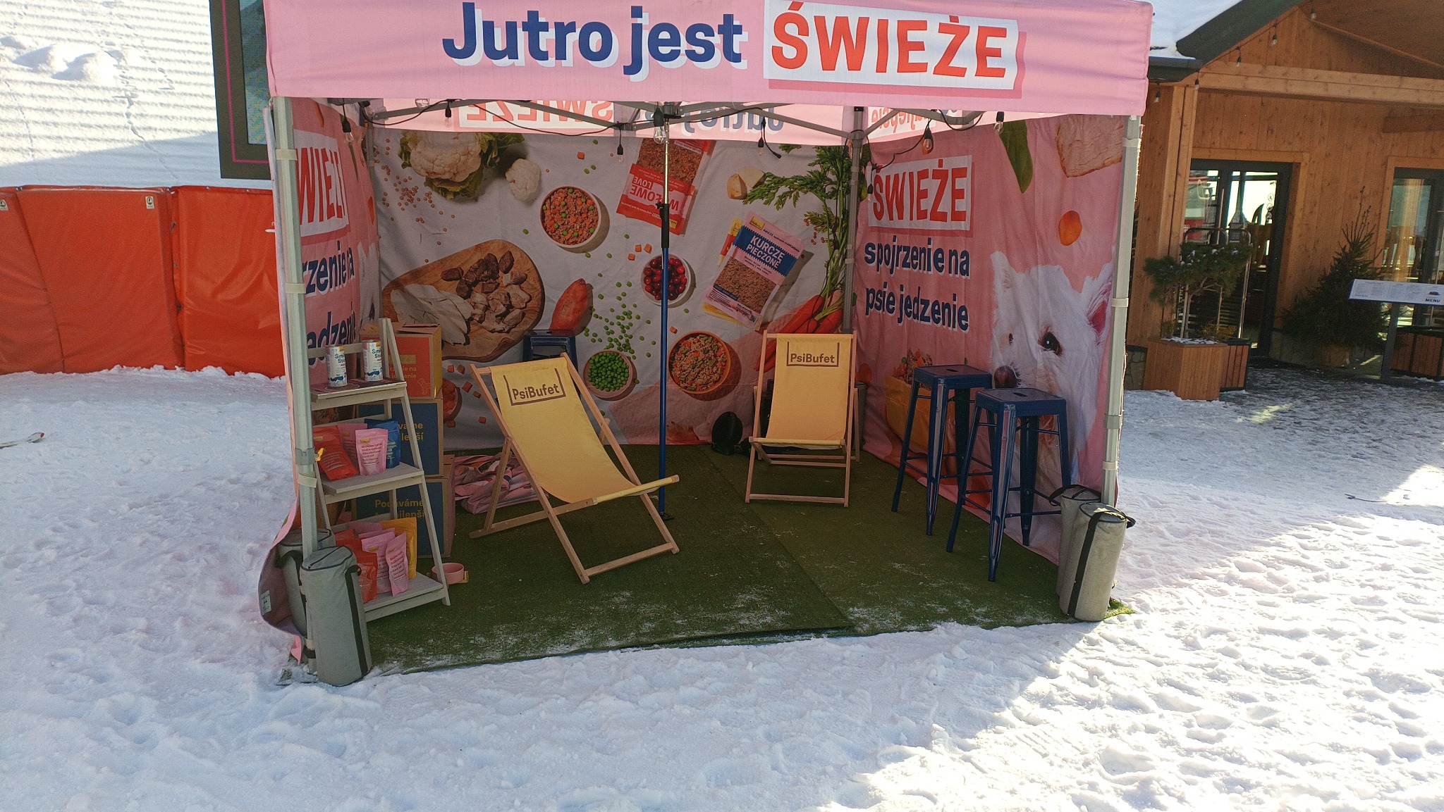 Stoisko promocyjne PsiBufet na śniegu: różowy namiot z grafiką jedzenia dla psów, dwa leżaki z logo, półka z produktami i taborety. Hasło 'Jutro jest ŚWIEŻE'.
