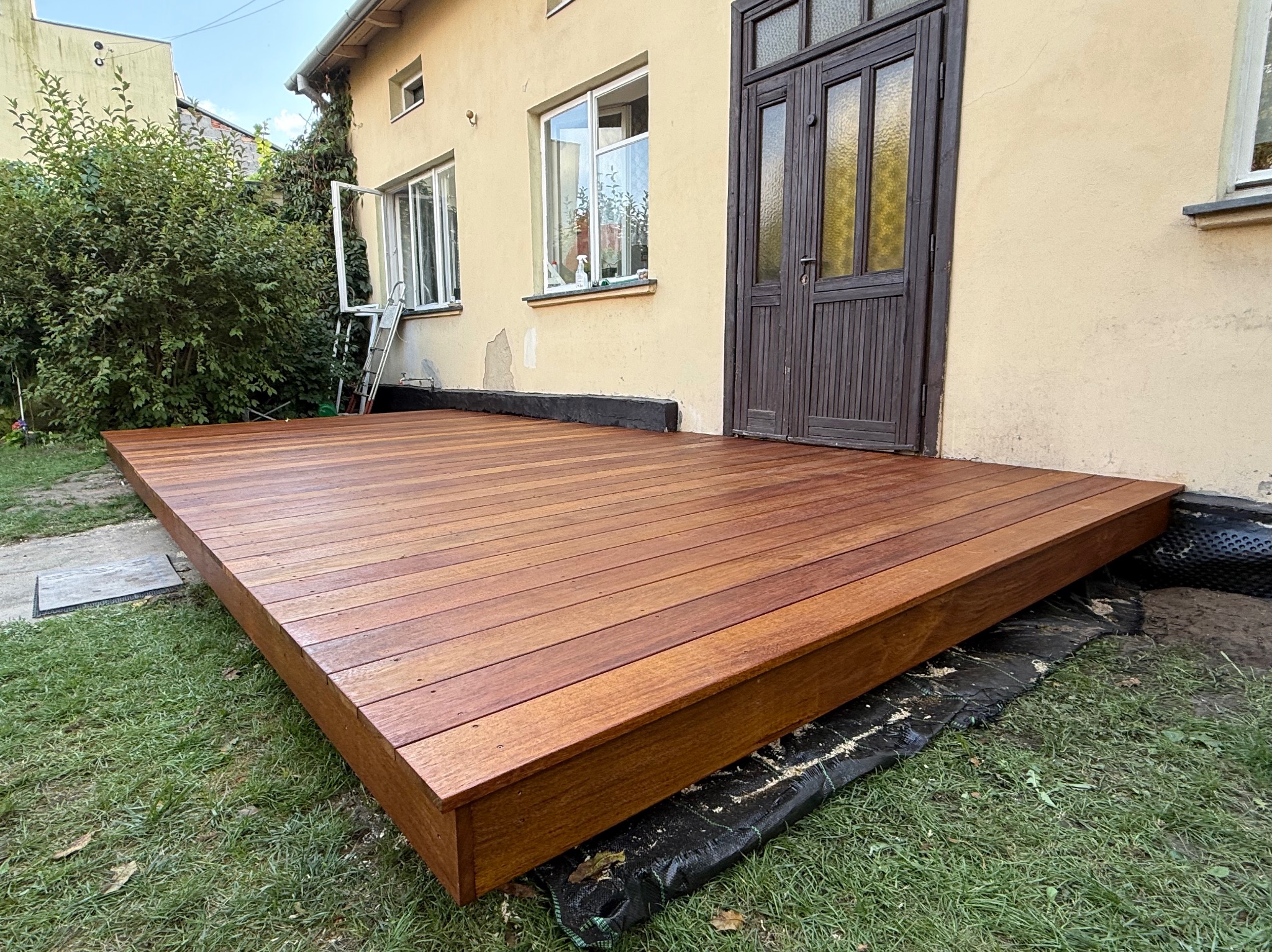 Taras Angelim amargosso