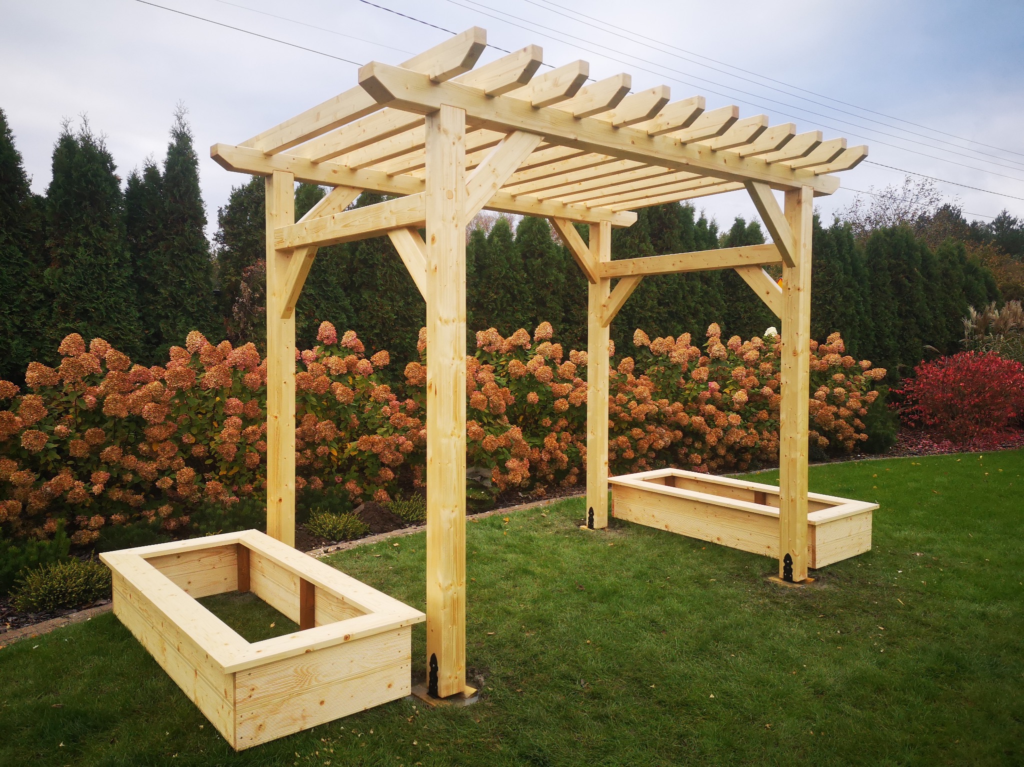 Surowa, drewniana pergola z dwiema podwyższonymi grządkami na trawniku, otoczona kwitnącymi krzewami. Widoczne mocowania pergoli do podłoża.