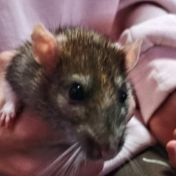 Bartosz omachel - Wykończenie Wnętrz Chrzan&oacute;w