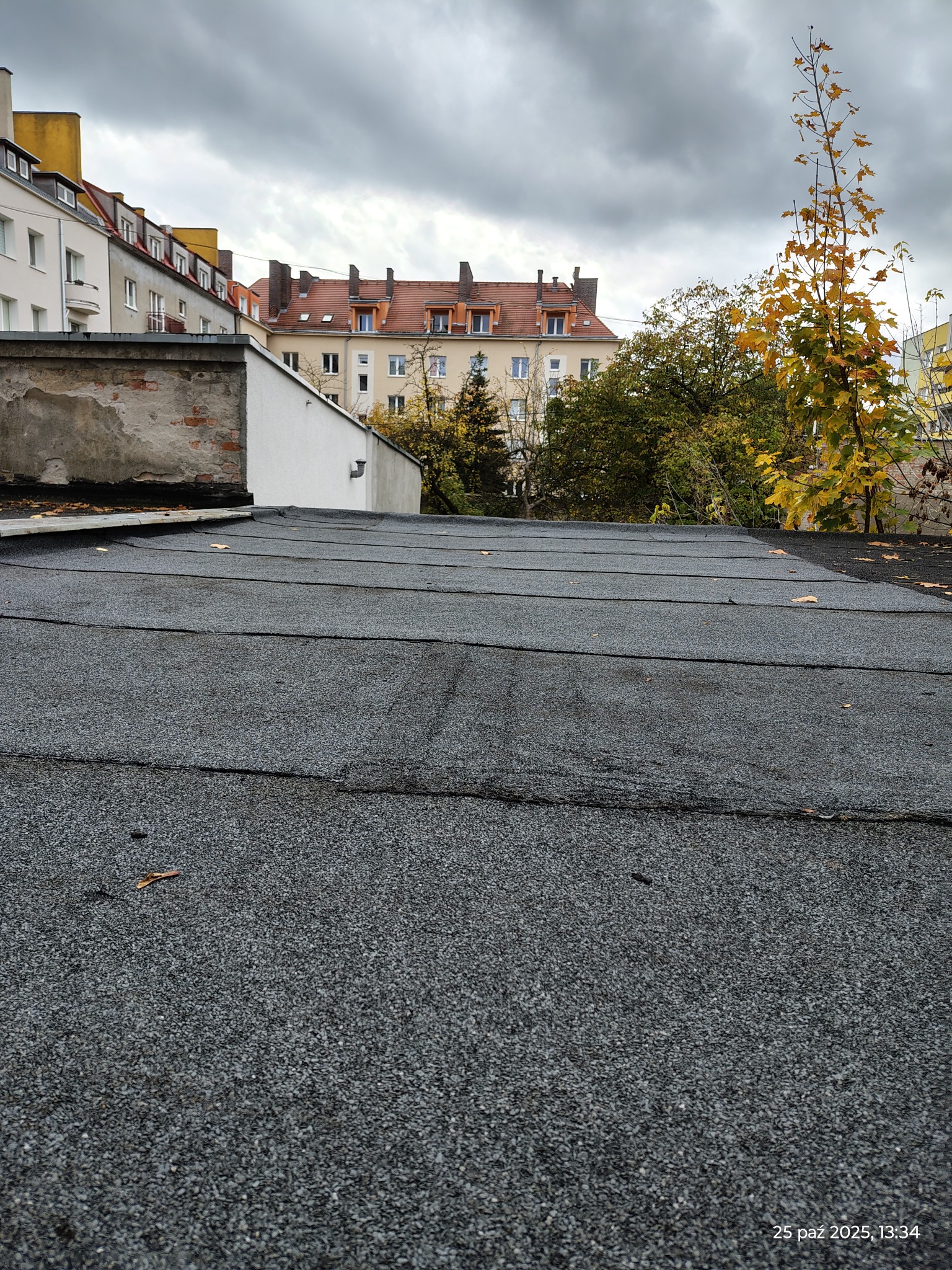 Szczegółowe ujęcie pokrycia dachu z papy bitumicznej na tle zabudowy miejskiej i jesiennego drzewa, wykonane w pochmurny dzień.