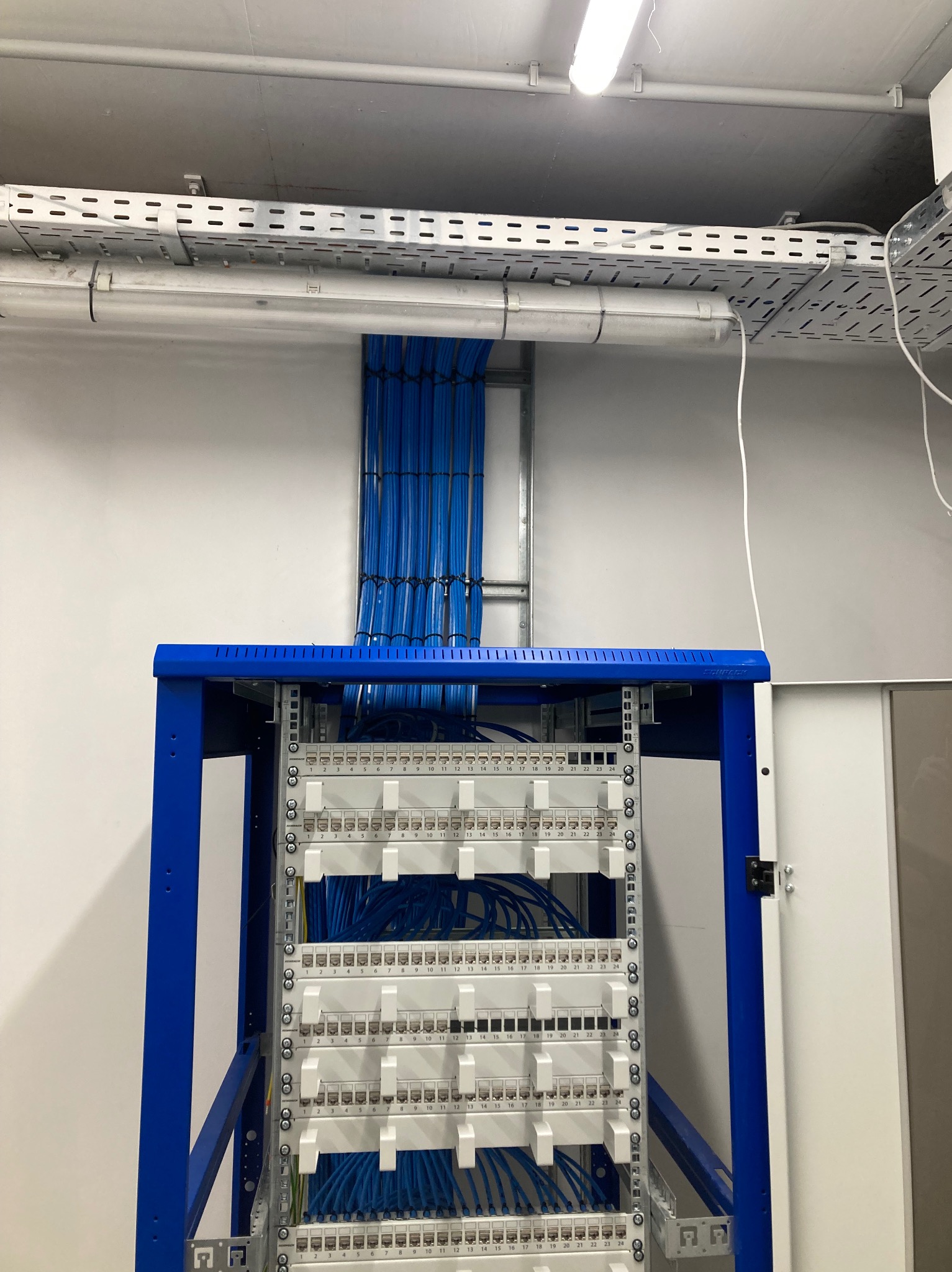 Niebieskie kable uporządkowane w szafie rack, prowadzone w korytach kablowych pod sufitem. Instalacja w serwerowni lub pomieszczeniu technicznym.